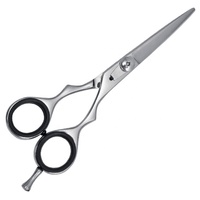 Ciseaux de Salon de coiffure de qualité supérieure en acier inoxydable, ciseaux de coupe de cheveux, outils de beauté, argent poli