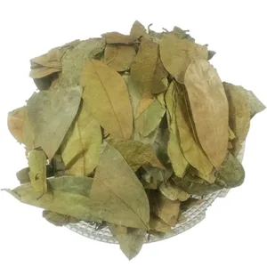 Sans produits chimiques Secs Corossol Feuilles-Helen TP + 84 374 288 086 - Product Image 1