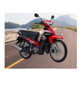 Made in Vietnam <b>Geared</b> <b>motor</b> 110cc (Yamahav Su-ri-us) Black/ Red - Product Image 1