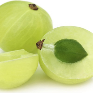 Aceite Portador de Semillas de Amla Prensado en Frío, Certificado GMP, Origen India - Product Image 3