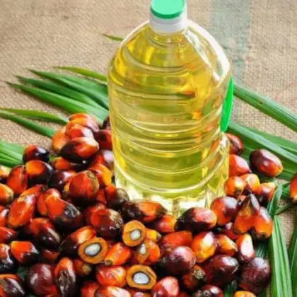 Endonezya fabrika fiyat bitki yağı pao palmiye asit yağı toplu gönderiler
