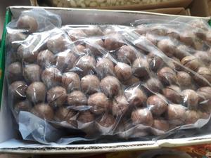 Nueces de Macadamia 100% Naturales/Nueces de Macadamia Tostadas con Cáscara Abierta de Alta Calidad (Kaylin: WS: +84817092069) - Product Image 6