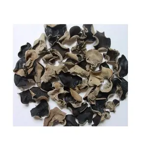 Cogumelo seca preto/cogumelo seco do vietnã 99 dados de ouro