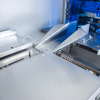 Machine d'emballage alimentaire automatique en acier inoxydable mini HFFS pour sacs et pochettes avec fonction d'emballage et d'étiquetage, fabriquée en Chine