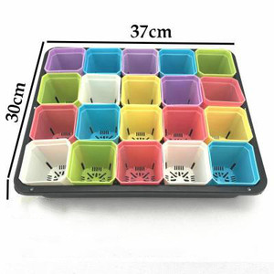 Pentole Vassoio di Vivai Germinazione Dei Semi di Piante grasse Succulente Planter Vaso di Fiori con Coperchi Scatola Crescere Idroponica Piantina Vassoio - Product Image 2