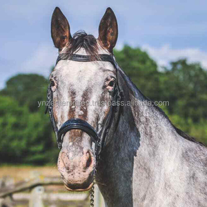 Brida de caballo de cuero resistente al agua, brida de caballo disponible en varios colores y tamaños, venta al por mayor - Product Image 2
