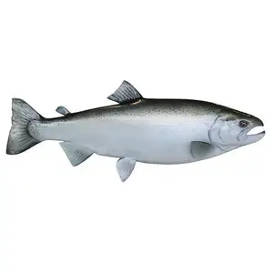 Rebanada de pescado de salmón, calidad superior, lista para comer, para Sushi, Sashimi, para exportación