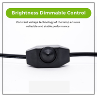 Lampe de sel de l'Himalaya naturelle sculptée en forme d'œuf, veilleuse LED USB, décoration d'intérieur en cristal de sel rocheux