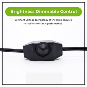 Abbott Minerals PK Himalayan Egg Shaped USB Salt Lamp 110V/220V <b>Light</b> Decor Carved Natural Craft Real Touch Holiday 2-3kgs - Product Image 5