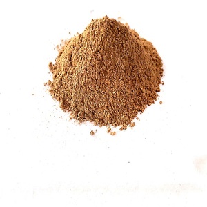 Haute Qualité poudre D'aloe Vera - Product Image 1