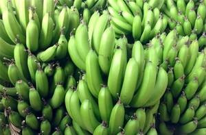 Plátano fresco a la venta-Alta Calidad-de Vietnam - Product Image 4