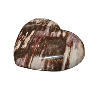 Coeur de palmier pétrifié de haute qualité pierre de palmier en cristal coeur gonflé pierre naturelle guérison reiki pierre précieuse quartz grossiste - Product Image 5