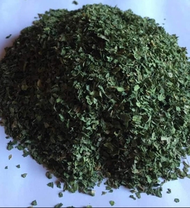 Hojas de cilantro secas crudas - Product Image 4