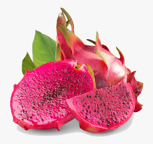 Vietnam Wit/Rode Verse Dragon Fruit Gemaakt In Vietnam Leverancier/Katie N + 84352310575