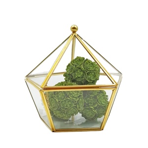 Nouveau produits terrarium en verre de style géométrique, bouteille de verre couleur or 12 verre, terrarium - Product Image 1