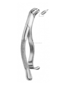 Pinzas de Extracción Dentales Manuales de Acero, Patrón Americano - Product Image 1