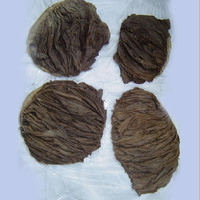 Tenderloin Daging Sapi Beku dengan Aroma Yang Kaya