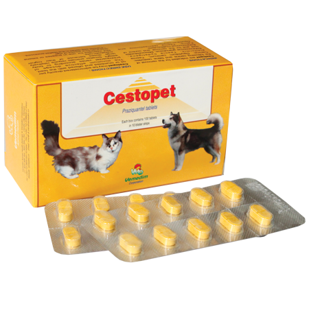 Vietnam GMP Certified Vet manufacture Tablets pills dewormers for dogs, Cestopet