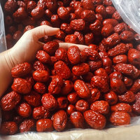 Groothandel Gevriesdroogde Hele Enucleated Ziziphus Jujuba Gedroogde Ms Sandy (+ 84 587 176 063) 99 Gold Data