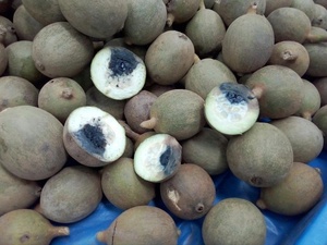 Polvo de Huito 100% Natural Secado por Aspersión (Genipa Americana) - Grado Alimenticio para Tatuajes Temporales, Aplicaciones en Alimentos y Bebidas - Product Image 5