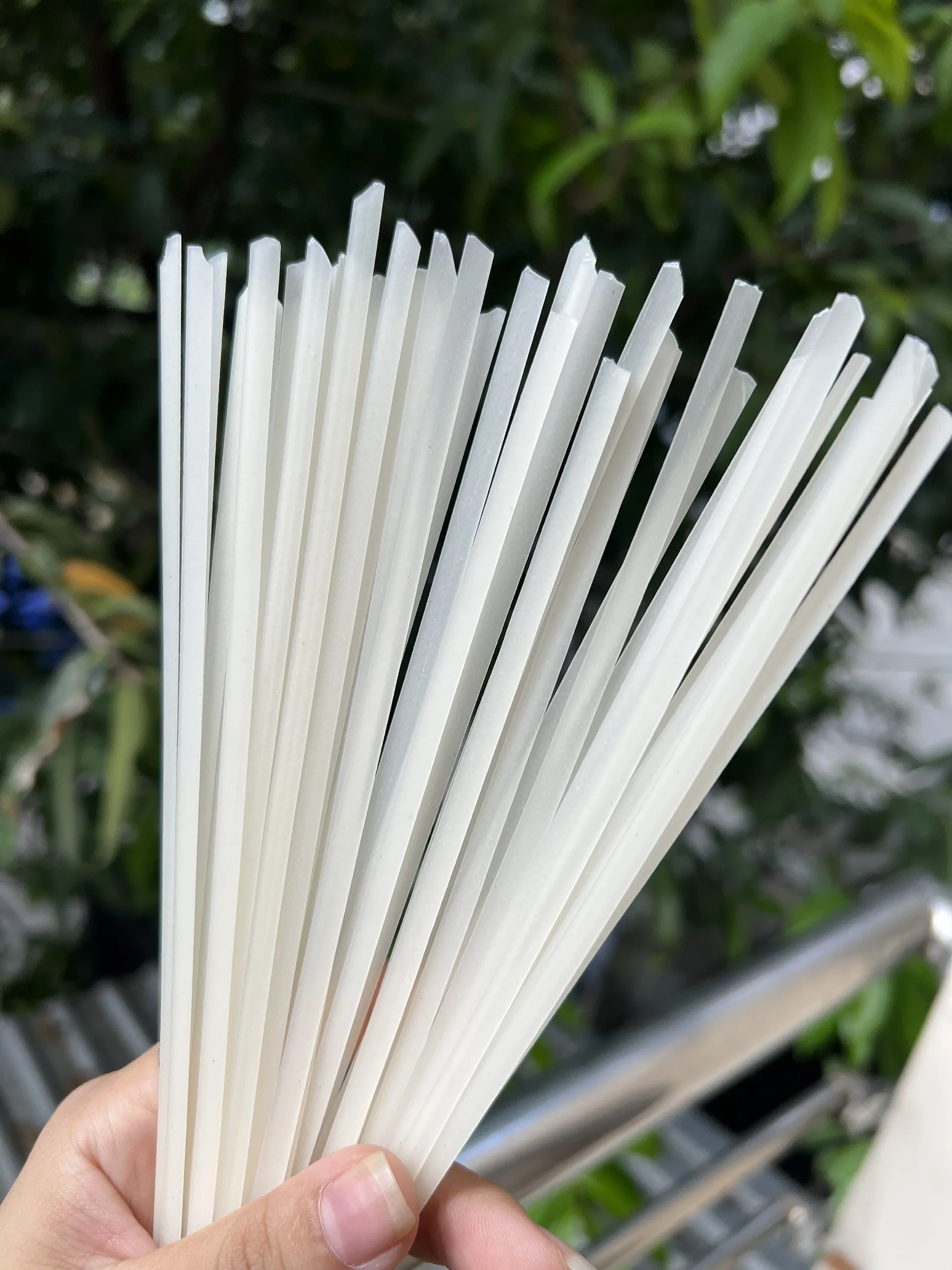 RICE STICK/STRAIGHT PHO NOODLE FOR PAD THAI FROM VIETNAM SUPPLIER CUSTOMIZED SIZE 2022