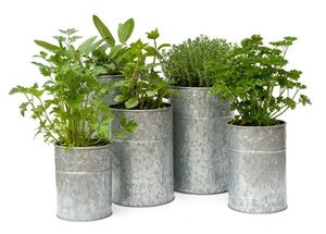 Nóng Bán Mạ Kẽm Trồng Kim Loại Sắt Tin Vườn Trang Trí Nhà Máy Chậu Tròn Nhỏ Hình Trái Tim Vuông Với Xử Lý <span class=keywords><strong>Planter</strong></span> - Product Image 4