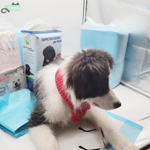 Лидер продаж, дешевые коврики для щенков walmart, оптом, черная Лаванда, 60x60 см, одноразовые подушечки для поглощения мочи, коврики для тренировок собак wee - Product Image 6