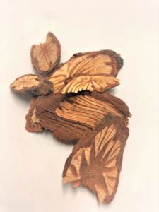 CAULIS SPATHOLOB SÉCHÉ NATUREL DU VIETNAM - Product Image 5