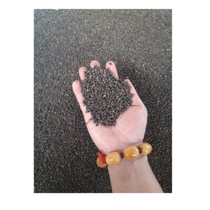 ใหม่การส่งออกพืชพริกไทยดำเวียดนาม500 550 570 Gl Bold 5มิลลิเมตรที่มีคุณภาพสูงพริกไทย - Product Image 4