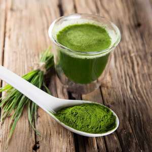 POLVO DE MORINGA de Alta Calidad en Venta a Buen Precio - Product Image 4