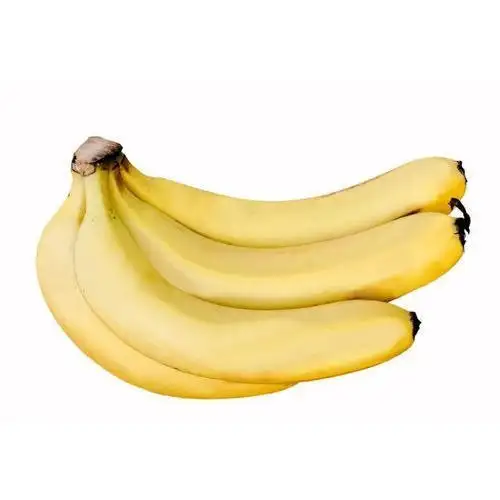 ที่มีคุณภาพสูงสดกล้วยคาเวนดิชสีเขียวพรีเมี่ยมอินเดียเขตร้อน AAA กล้วยหวานบรรจุอินทรีย์สีน้ำหนักธรรมชาติ