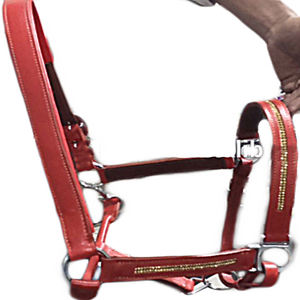 QUIERO VENDER PP halters show halters COLOR NEGRO AZUL PÚRPURA AMARILLO ROJO EN DÓLAR 2 - Product Image 6