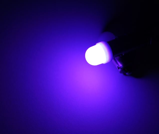 Pourpre
