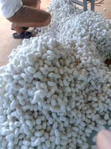 COCOON SECO ENROLLABLE DE SEDA 2022 // Sra. Laura - Product Image 3