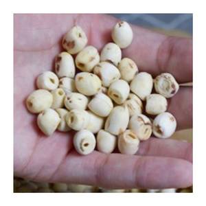 แห้งสีขาวเมล็ดบัวจากเวียดนาม - Product Image 2