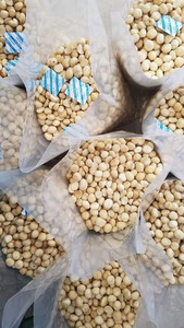 HAWAIIAN NUT/ WHOLESALE VIETNAMESE MACADAMIA NUT - SVEN +84 966722357 - Product Image 4