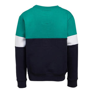 Sudadera de cuello redondo de Terry de peso pesado de alta calidad 2022 para hombre, jersey con logotipo personalizado, sudadera, diseño impreso, técnica lavada - Product Image 3