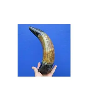 Unique Buffalo decorative horn natural black with best quality logo horn and medium size low price with sale