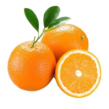 Großhandel Gefrorene Frische Mandarine Citrus Orange/Nabel Orangen, valencia, Mandarin, Mandarine, Zitronen, Clementine, zitrusfrüchte
