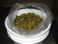 Pepinillos en cubos de plástico, verduras conservadas en salmuera