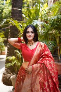 ชุดงานแต่งงานของชาวอินเดียสีแดงสวย,ชุดหรูหราทำจากผ้าไหมสีทอง Zari ทอผ้า Lehenga Choli สำหรับสุภาพสตรีในอัตราขายส่ง - Product Image 4