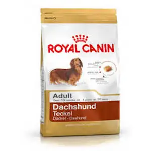 100% erstklassiges Royal Canin Norwegian Forest Trocken futter für Katzen