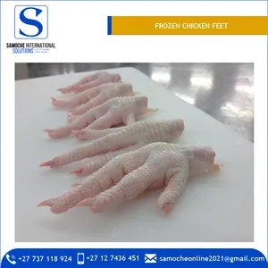 南アフリカからの最高品質のハラール新鮮冷凍鶏足の大手サプライヤー