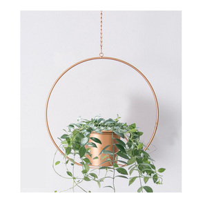 Macetas colgantes de pared con recubrimiento de polvo dorado de anillo redondo de lujo en gran oferta - Product Image 1