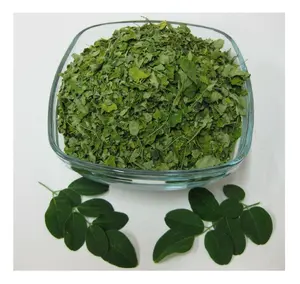 VIETNAM MORINGA kuru yaprak/MORINGA OLEIFERA//WhatsApp: Ms.Pinky (+ 84) 35 9268 345