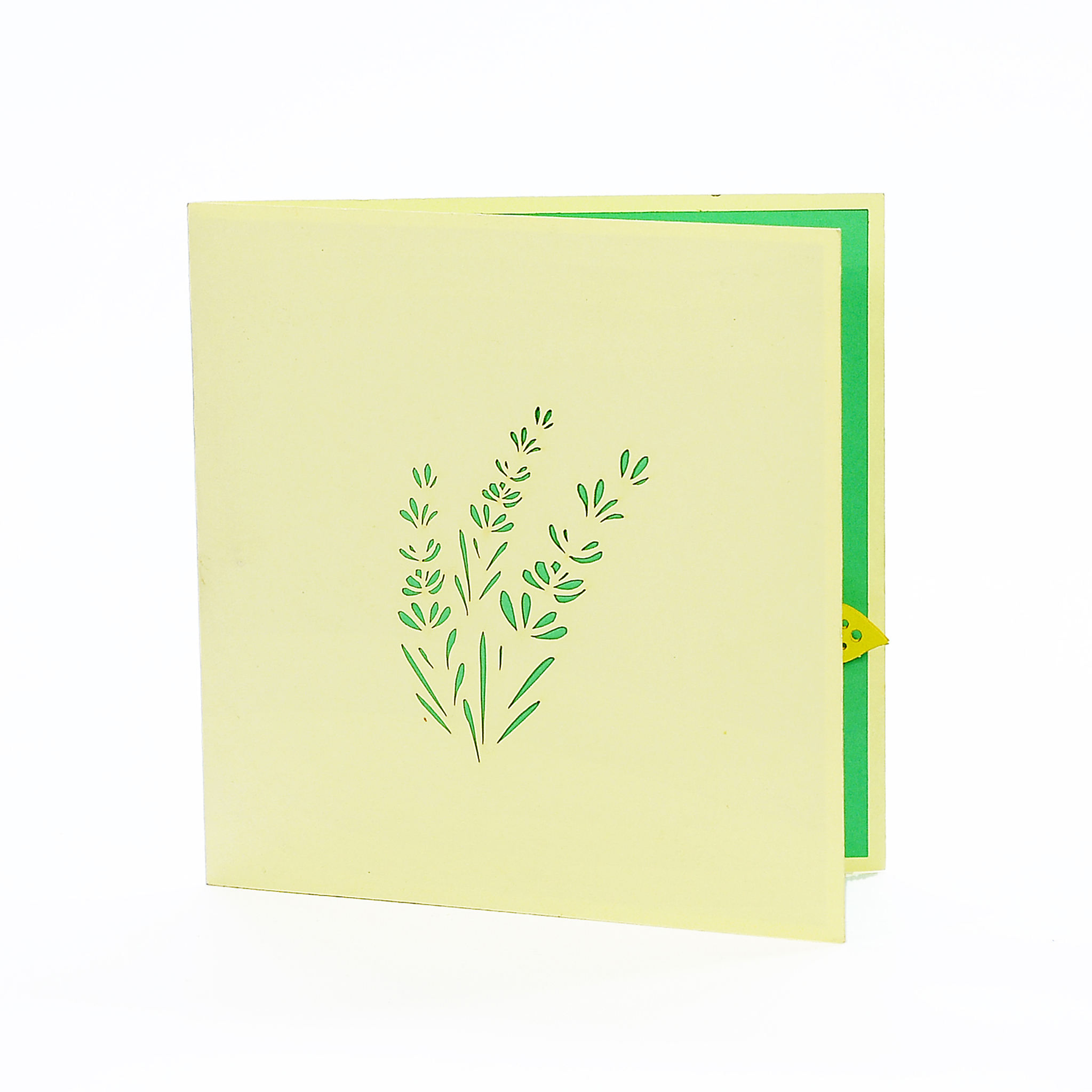 สีเหลือง