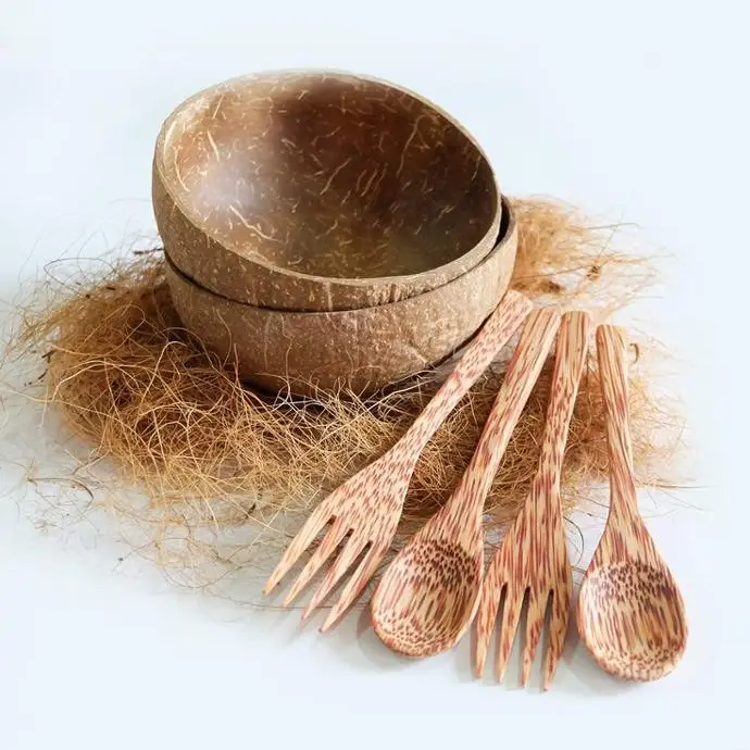 Good Quality Contemporary Design Coconut Shell Bowls And Cutlery Set Price With Eco Friendly Packaging
