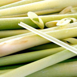 Hydrolat d'herbe de citronnelle, extrait distillé à la vapeur, matière première, feuilles fraîches, parfum floral, certifié GMP - Product Image 1