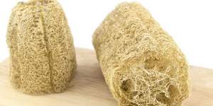 Natural Loofah/ Natural Hotel Disposable Loofah From Viietnam - Product Image 4