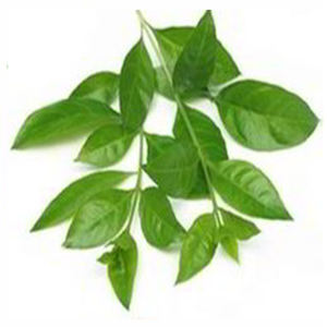 Polvo de Color de Pelo Rubio Orgánico Natural Sin Amoníaco Semipermanente Sin Químicos Seguridad Herbal con Certificado Ecocert - Product Image 4